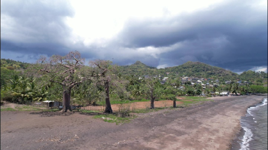 Baobabs de Mtsamoudou vu par drone