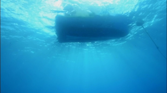 Corail de Chira Rani