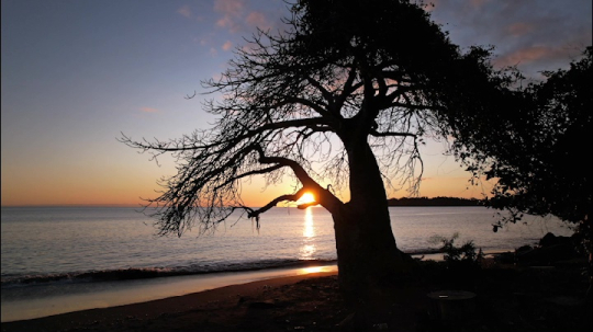 Coucher de soleil et baobab