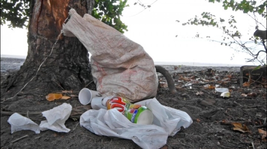 Déchets de voulés sur les plages