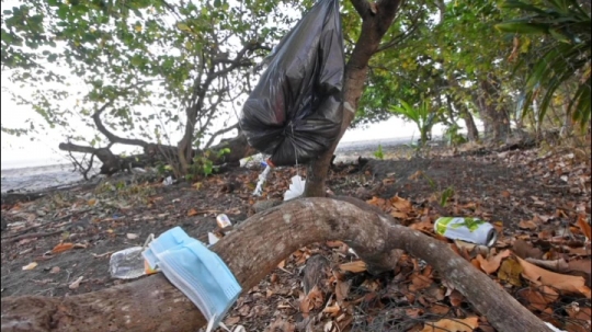 Déchets de voulés sur les plages