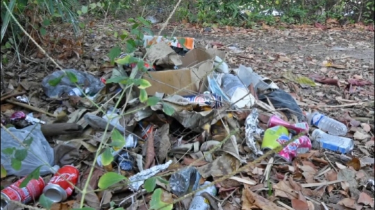 Déchets de voulés sur les plages
