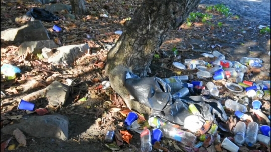 Déchets de voulés sur les plages