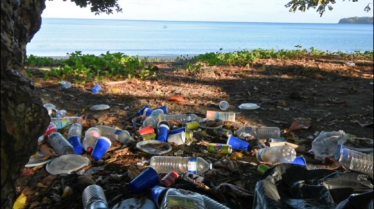 Déchets de voulés sur les plages
