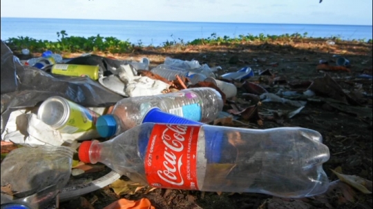 Déchets de voulés sur les plages