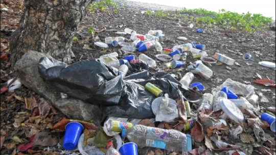 Déchets des voulés sur les plages