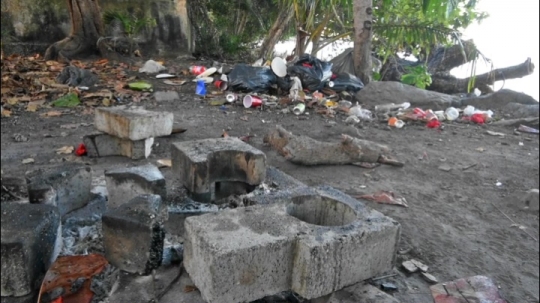 Déchets des voulés sur les plages