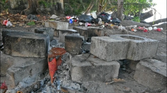 Déchets des voulés sur les plages