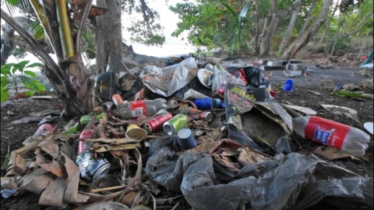 Déchets des voulés sur les plages