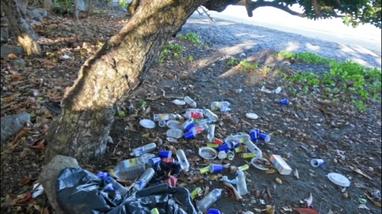 Déchets des voulés sur les plages