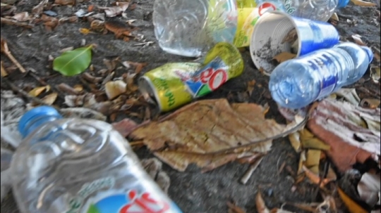 Déchets des voulés sur les plages