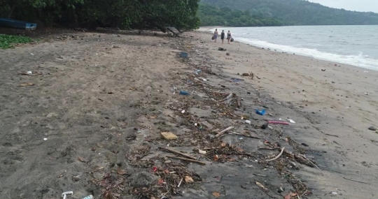 Déchets rapportés par la mer après tempête