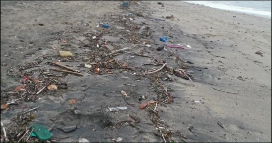 Déchets rapportés par la mer après tempête