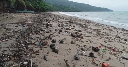 Déchets rapportés par la mer après tempête