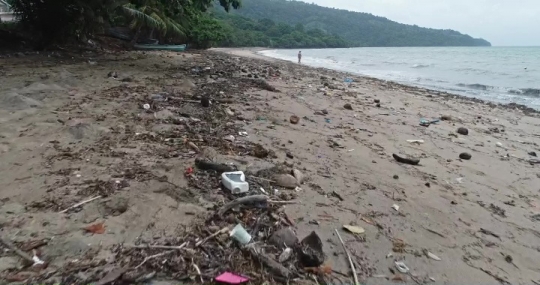 Déchets rapportés par la mer après tempête