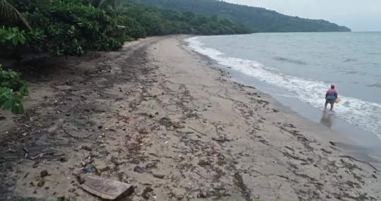 Déchets rapportés par la mer après tempête