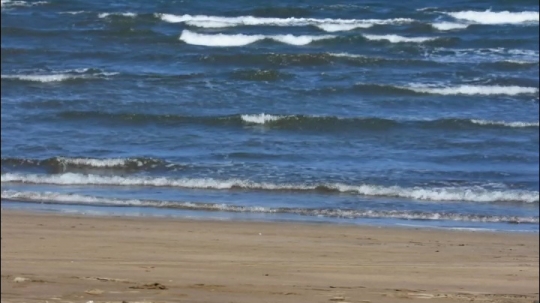 Kite à Bambo Ouest