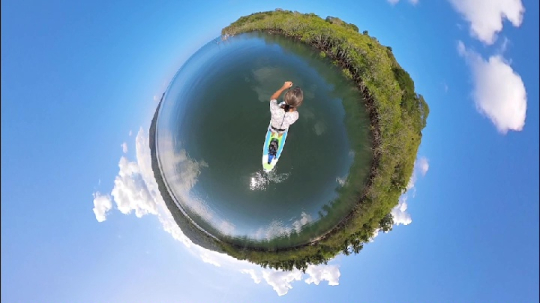 La mangrove en Paddle