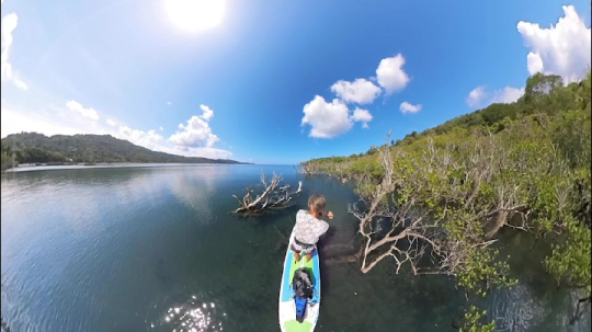 La mangrove en Paddle