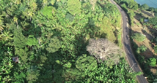 Malavouni de M'bouanatsa par drone