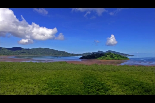 Mangrove de Chirongui et baie de Boueni