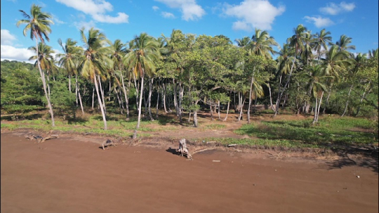 Plage de Bambo Est