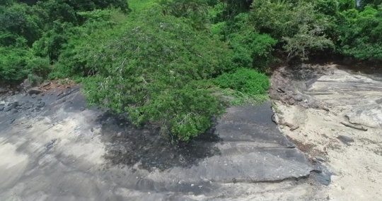 Plage de M'Bouanatsa - Baobab