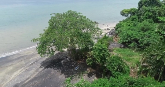 Plage de M'Bouanatsa - Baobab