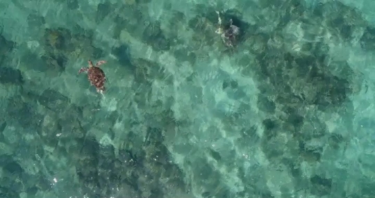 Platier de M'Bouanatsa vu par drone