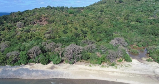 Soulou plages et baobabs
