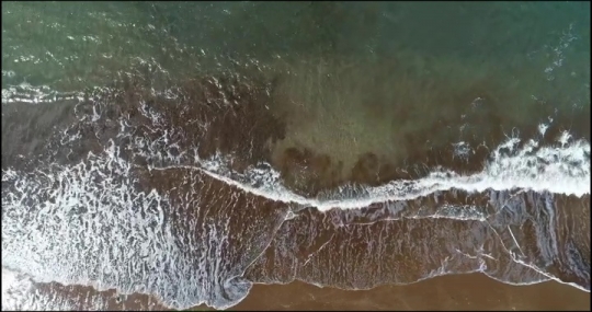 video1