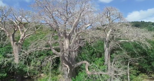 Village de Moutsamoudou par drone