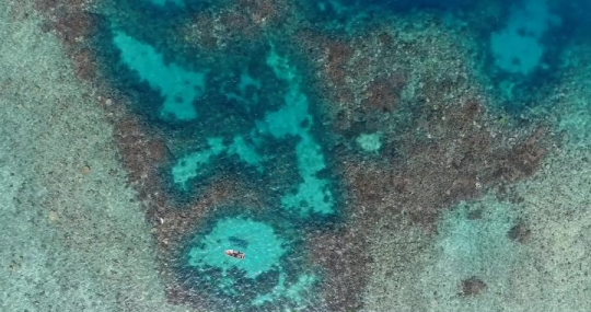 Vue de drone du récif Lepoe avec nageur