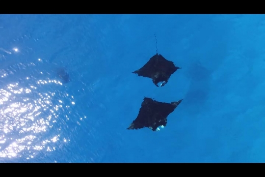 Vue de Manta par drone