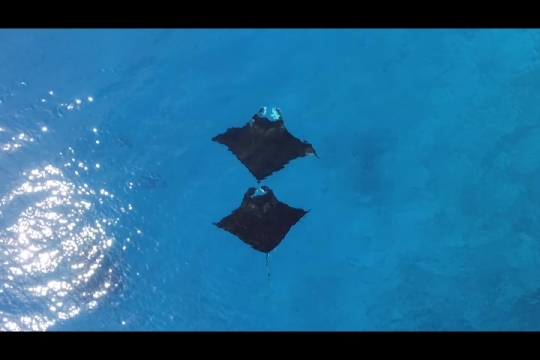 Vue de Manta par drone