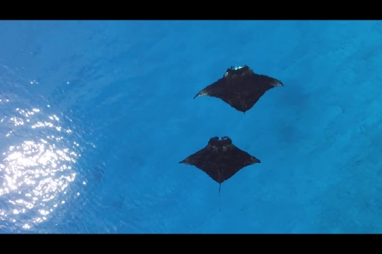 Vue de Manta par drone
