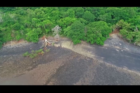 Vue par drone de baobab déchu