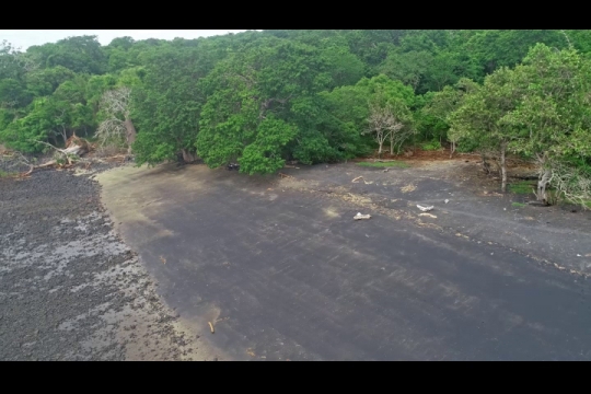 Vue par drone de baobab déchu