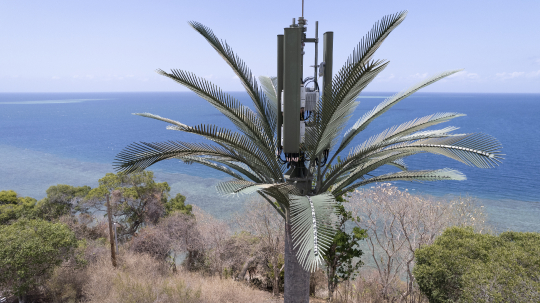 Antenne GSM - Faux palmier