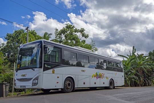 Bus Halo