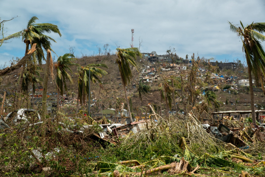Cyclone Chido - Végétation détruite et bidonvilles