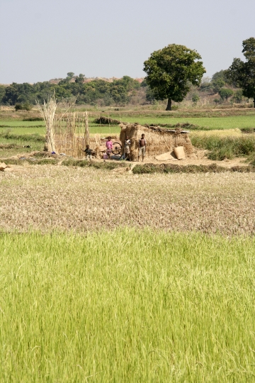 entre Mahajunga et le parc ankarafantsika
