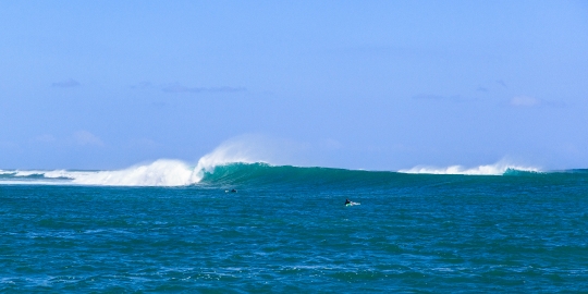 GLB0153 Madagascar Surf