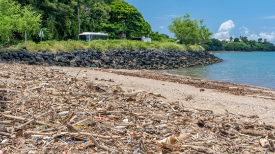GLB277 déchets plage du four à chaux