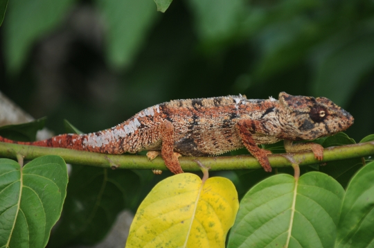JONDSC2548