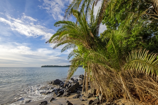 Littoral du sud