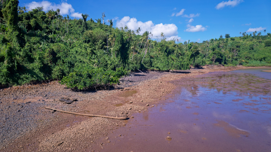 Mangrove de Soulou