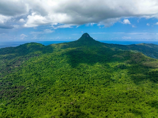 Mont choungi et réserve forestière