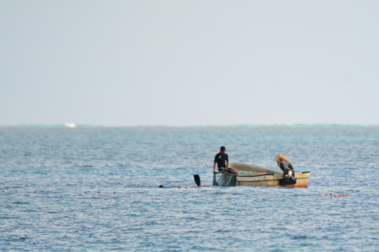 Pêche illégale au filet