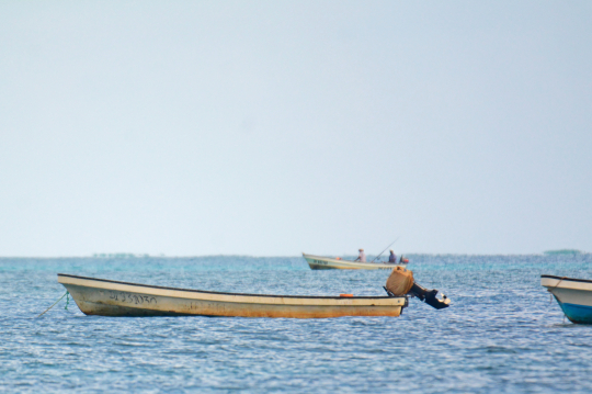 Pêche illégale au filet